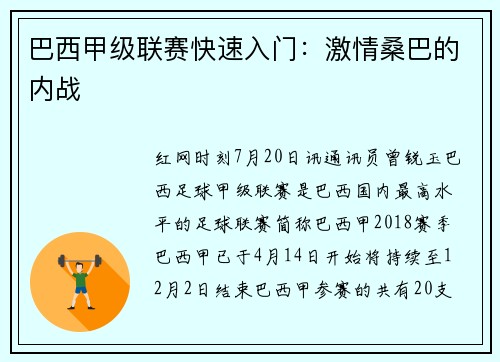 巴西甲级联赛快速入门：激情桑巴的内战